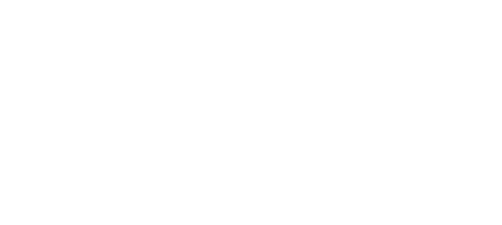 Purity auto hygienics
